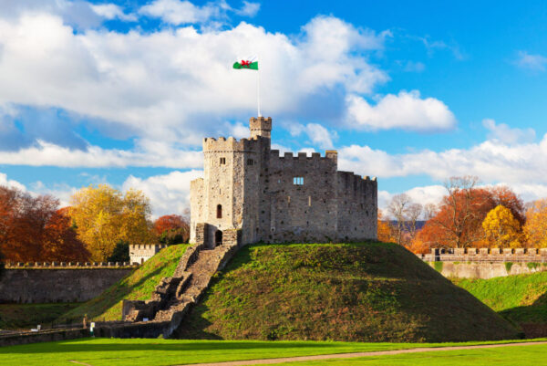 castillo cardiff