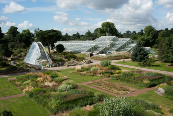 vistas invernaderos jardin botanico kew